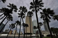 Storm clouds shroud the downtown skyline Tampa, Florida