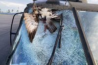 osprey collided with a UH-60L Black Hawk helicopter flown by a crew of four South Carolina National Guard members